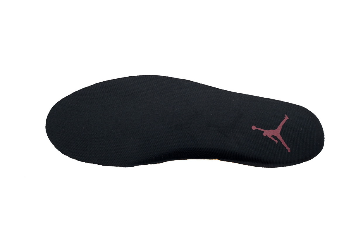XP Air Jordan 11 Retro 'Animal Instinct'