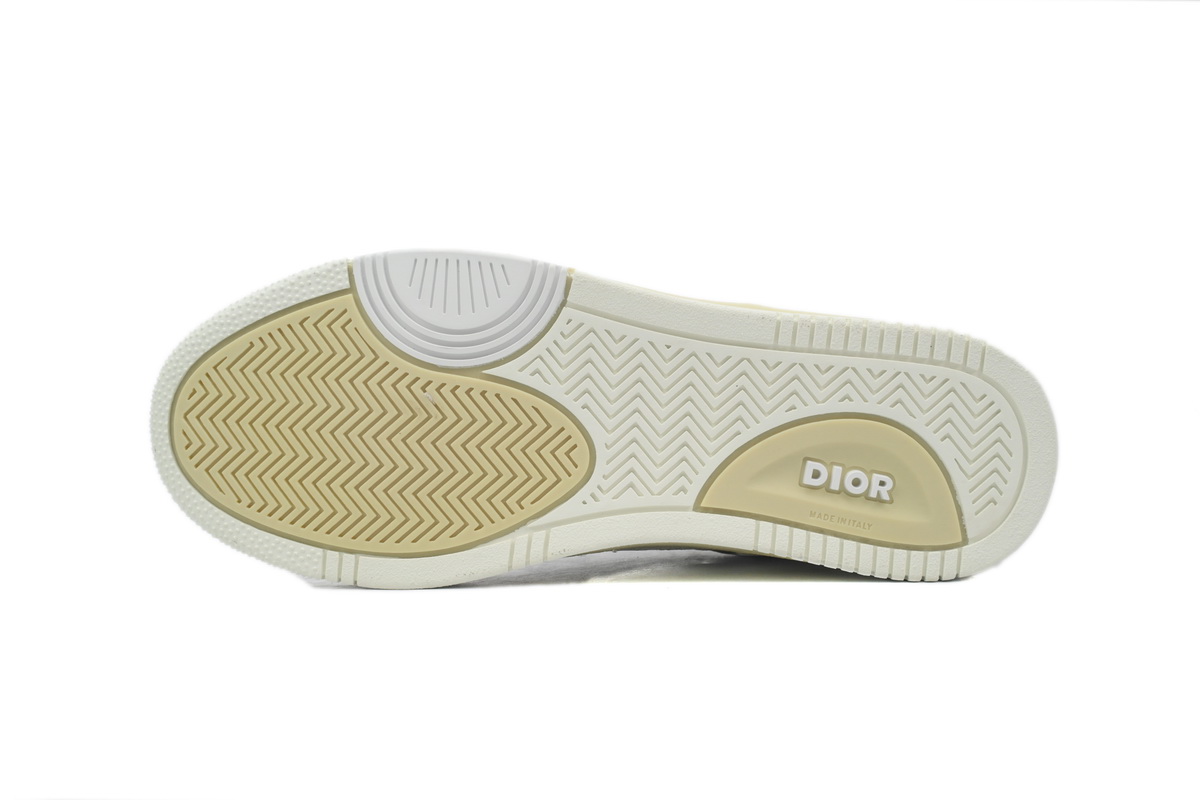Dior B27 Low Pink and White