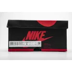 Air Jordan 1 Retro High Bloodline 555088-062