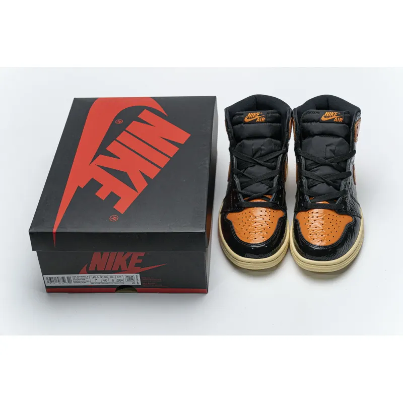 Air Jordan 1 Retro High OG 'Shattered Backboard 3.0' 555508-028