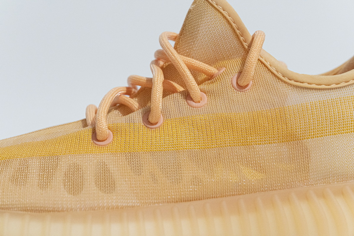 Adidas Yeezy Boost 350 V2 Mono Clay GW2870