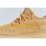Adidas Yeezy Boost 350 V2 Mono Clay GW2870