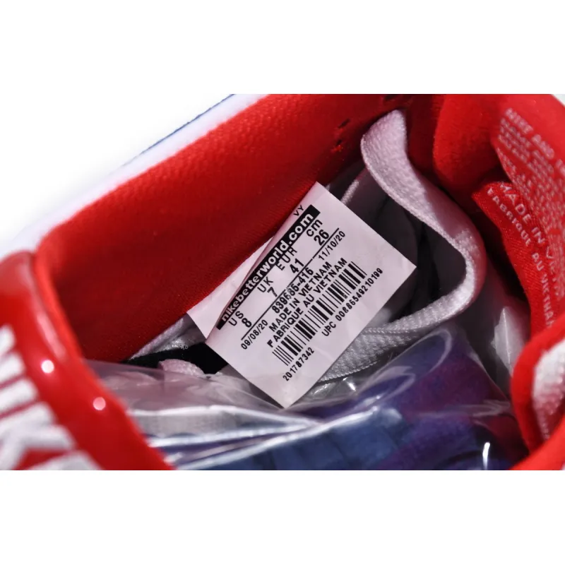 Nike SB Dunk Low Ishod Wair BMW 839685-416 ??nike