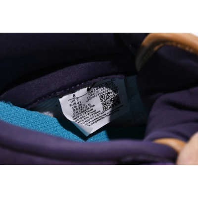 Nike Dunk Low N7  DN1441-500  02