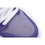 Nike Dunk SB Low Lilac DA9658-500 ??nike