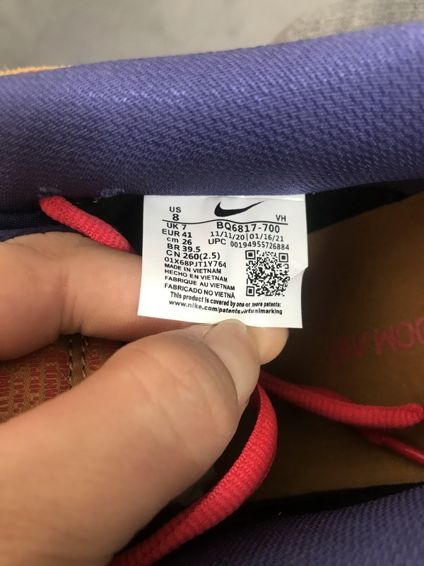 Nike Dunks Papa Bear