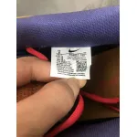 Nike Dunks Papa Bear