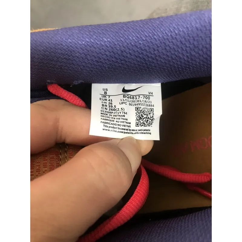 Nike Dunks Papa Bear