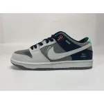Nike SB Dunk Low Pro Iso“VX1000 Camcorder” CV1659-001 ??nike