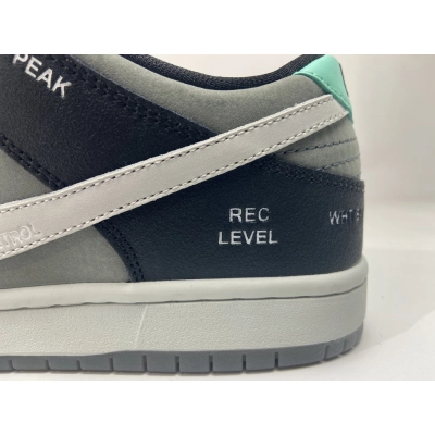 Nike SB Dunk Low Pro Iso“VX1000 Camcorder” CV1659-001  02