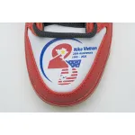 Nike Dunk SB Low Pro Vietnam 25th Anniversary 309242-307 ??nike