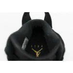 Jordan 6 Retro DMP 2020