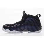 Nike Air Foamposite One Aubergine 314996-008 ??
