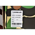 A Bathing Ape Bape SK8 Sta Low Tiger 1I20-191-004