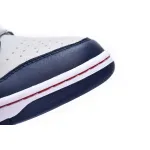nike dunk low nets