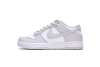 Nike Dunk Low Venice DD1503-116