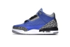 Air Jordan 3 Retro Varsity Royal Cement CT8532-400