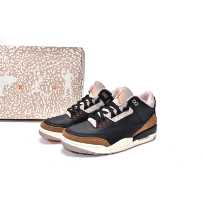 Air Jordan 3 Retro Desert Elephant CT8532-008 02