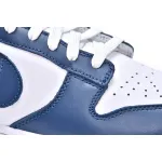 Nike Dunk Low Valerian Blue DD1391-400