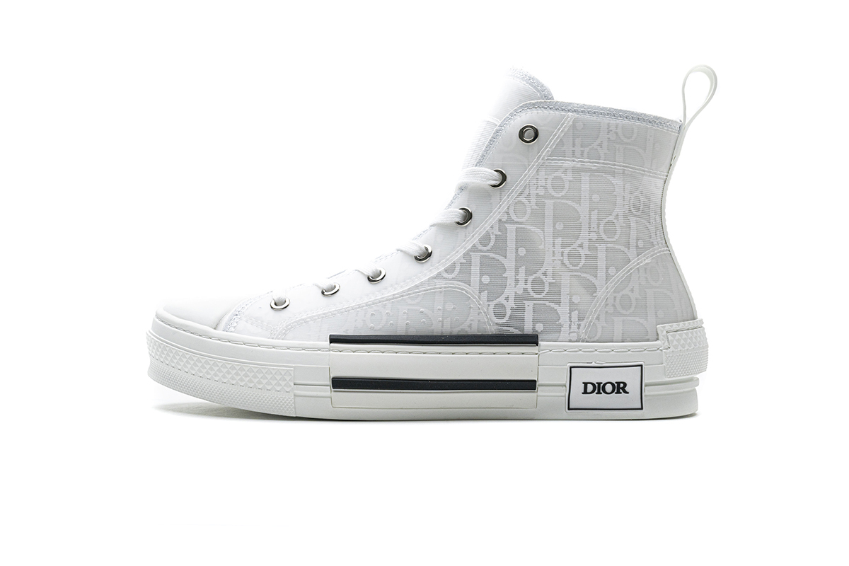 Dior B23 High Top Oblique