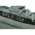 350 V2 Salt