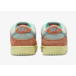 Nike SB Dunk Low Noise Aqua