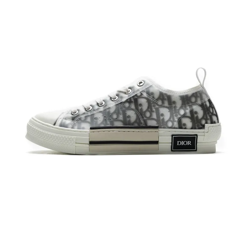  B23 HT Oblique Transparency Low H565 White Black