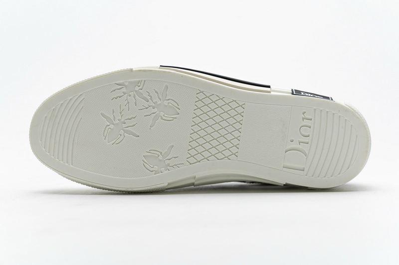  B23 HT Oblique Transparency Low H565 White Black