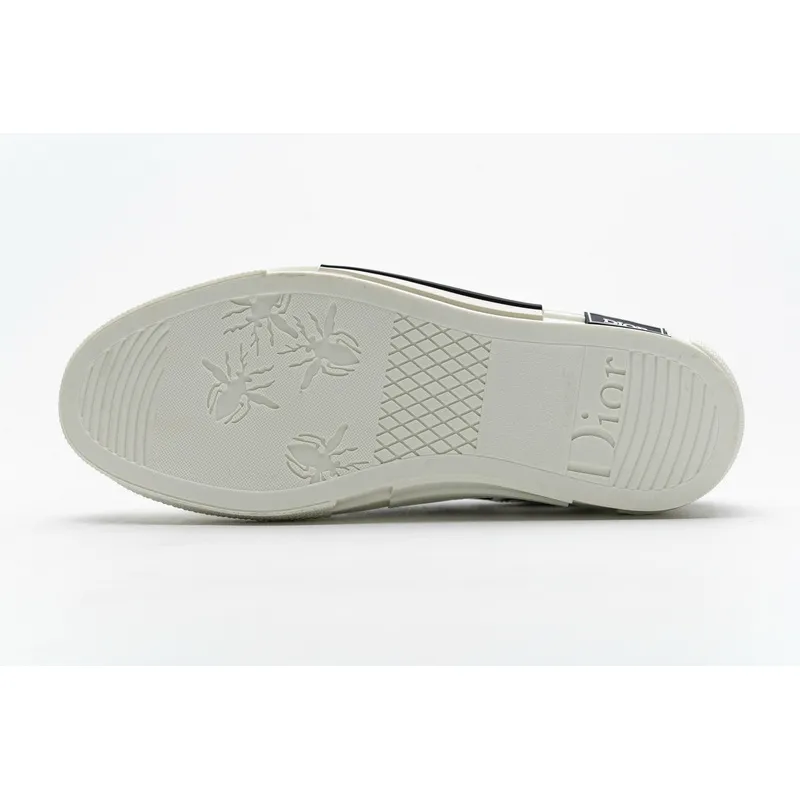  B23 HT Oblique Transparency Low H565 White Black