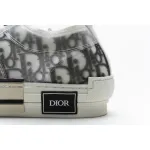  B23 HT Oblique Transparency Low H565 White Black