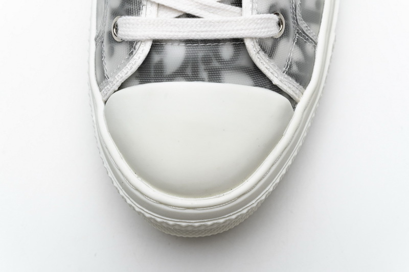 B23 HT Oblique Transparency Low H565 White Black