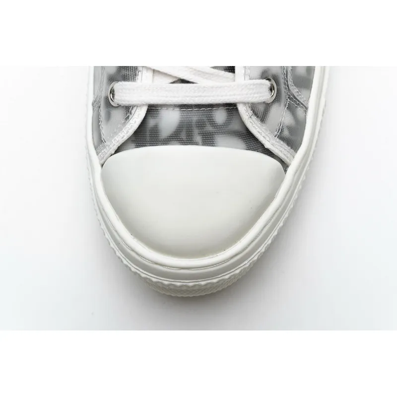  B23 HT Oblique Transparency Low H565 White Black