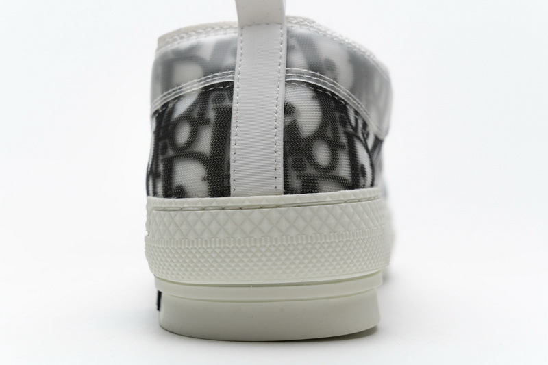  B23 HT Oblique Transparency Low H565 White Black