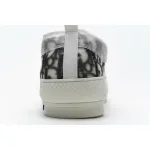  B23 HT Oblique Transparency Low H565 White Black