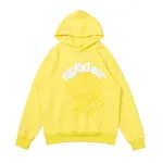 Sp5der Web Hoodie 3829