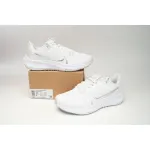 Nike Pegasus 40 White Metallic Silver DV3854-101