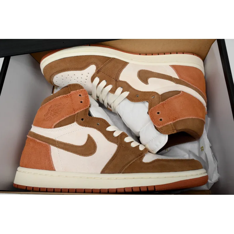 Jordan 1 Retro High OG SP Dusted Clay FQ2941-200