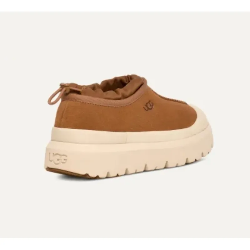 UGG Men's Tasman Weather Hybrid Brown