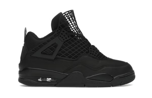 Jordan 4 Retro Net Black FN7251-001
