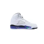 Jordan 5 Retro Grape 2025 HQ7978-100