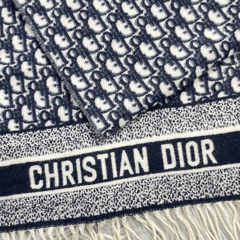 Dior Oblique Logo Print Fringed Scarf 