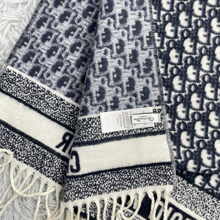 Dior Oblique Logo Print Fringed Scarf 