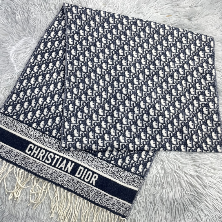 Dior Oblique Logo Print Fringed Scarf 