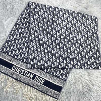 Dior Oblique Logo Print Fringed Scarf  01