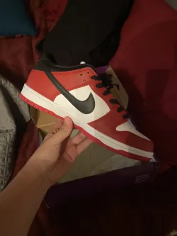 Nike SB Dunk Low Pro Chicago BQ6817-600  review jack 01