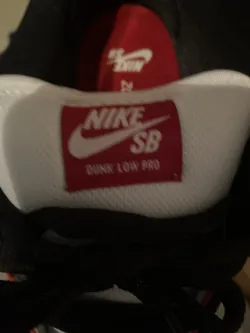 Nike SB Dunk Low Pro Chicago BQ6817-600  review jack 07