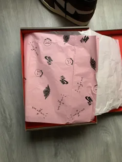 Travis Scott x Air Jordan 1 Retro High OG Mocha CD4487-100 review D  05