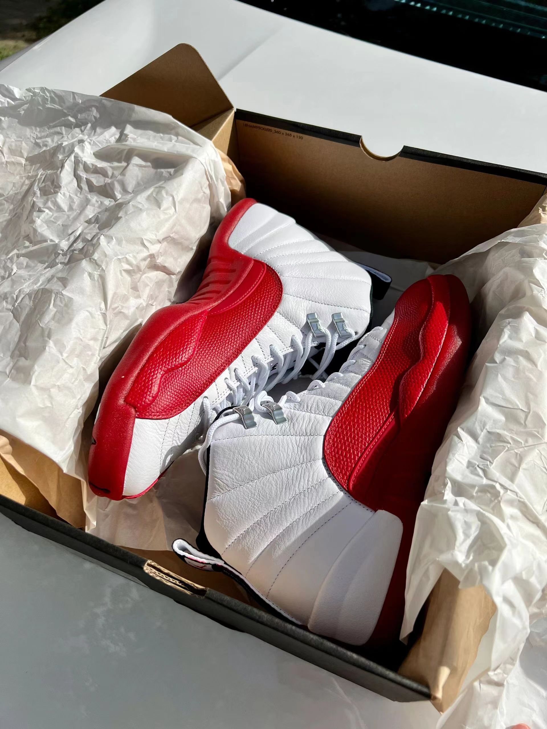 Air Jordan 12 Cherry CT8013-116  review Matheus