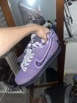 Nike SB Dunk Low Concepts Purple Lobster BV1310-555 review Bagel