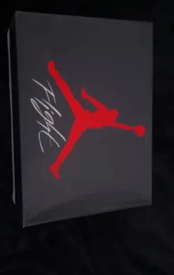 Air Jordan 4 Red Thunder CT8527-016  review Michael 02